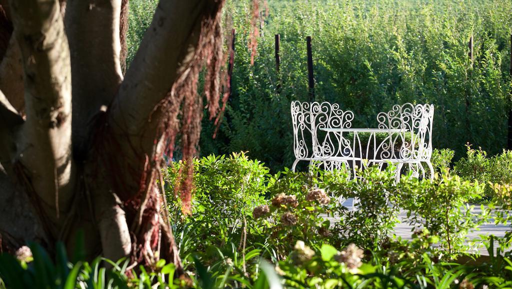 Brenaissance Wine & Stud Estate Hotel Stellenbosch Eksteriør billede