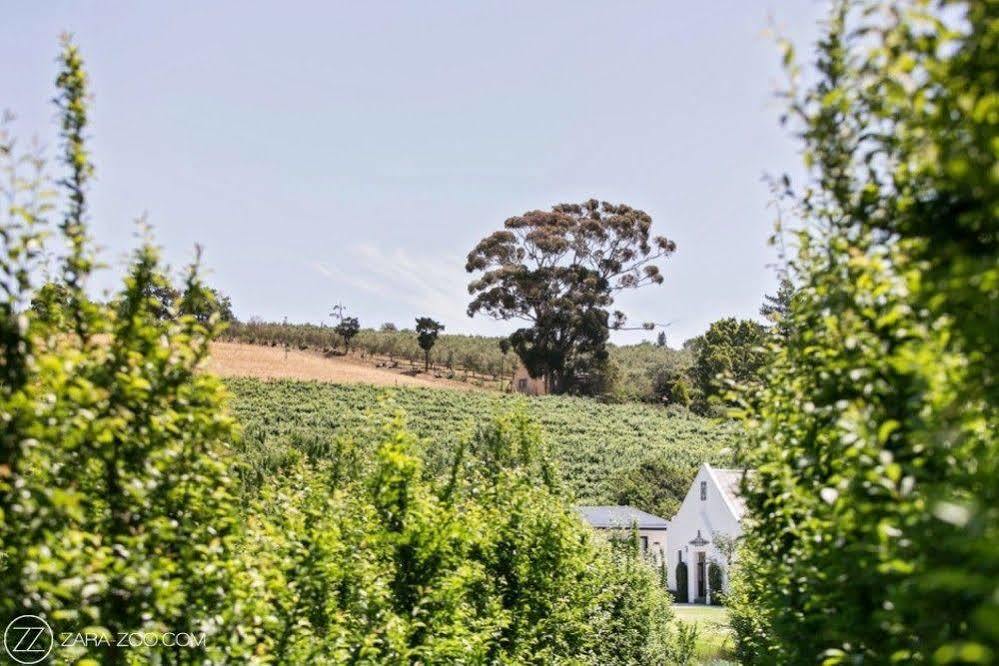 Brenaissance Wine & Stud Estate Hotel Stellenbosch Eksteriør billede