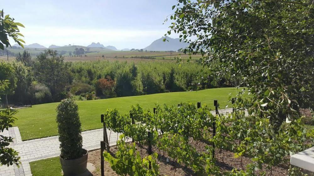 Brenaissance Wine & Stud Estate Hotel Stellenbosch Eksteriør billede